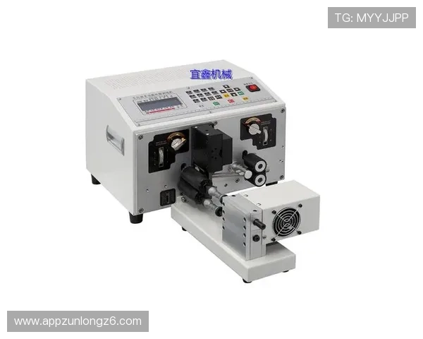 深入了解尊龙d88手机版app的市场定位与发展前景